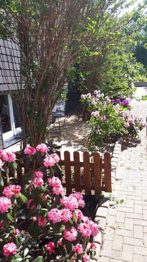 Ferienwohnung 43Qm Torf 10 Naehe Moehnesee ヴァールシュタイン エクステリア 写真